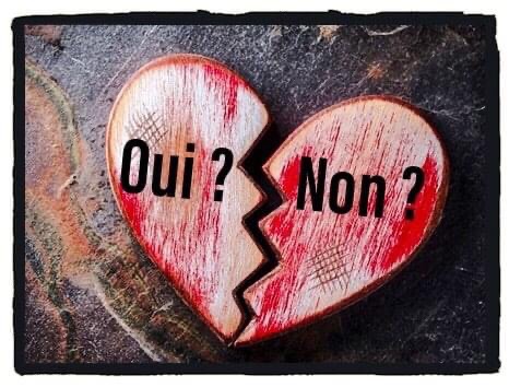 oui-non-1